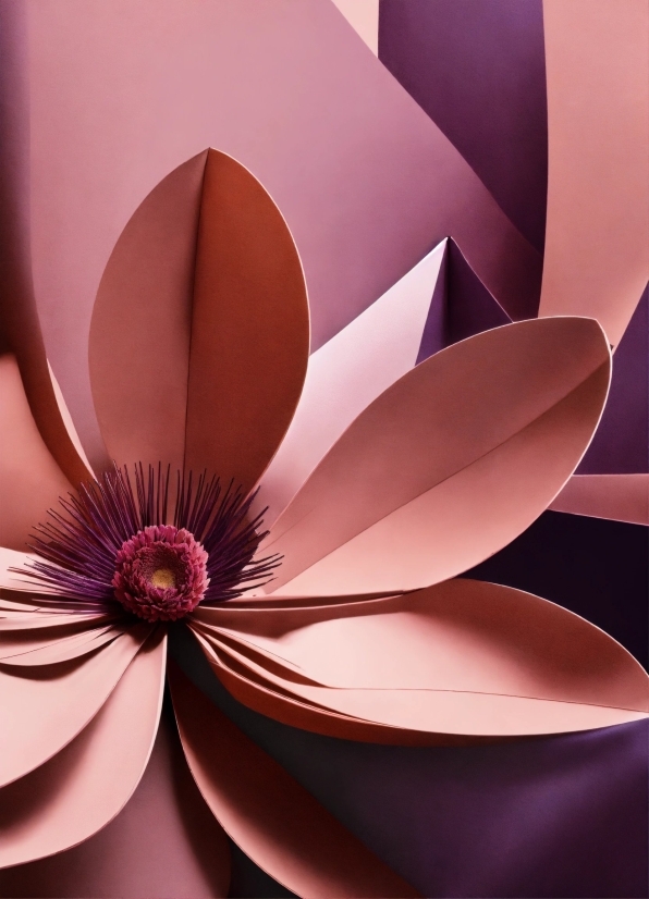 Flower, Petal, Plant, Pink, Line, Automotive Design