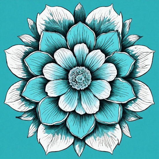 Free Drone Videos, Flower, Petal, Creative Arts, Art, Symmetry