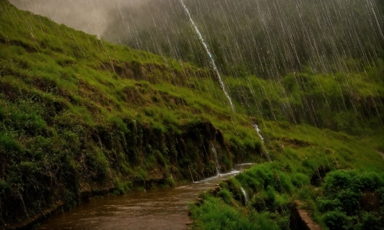 Google Ai App, Water, Plant, Water Resources, Mountain, Natural Landscape