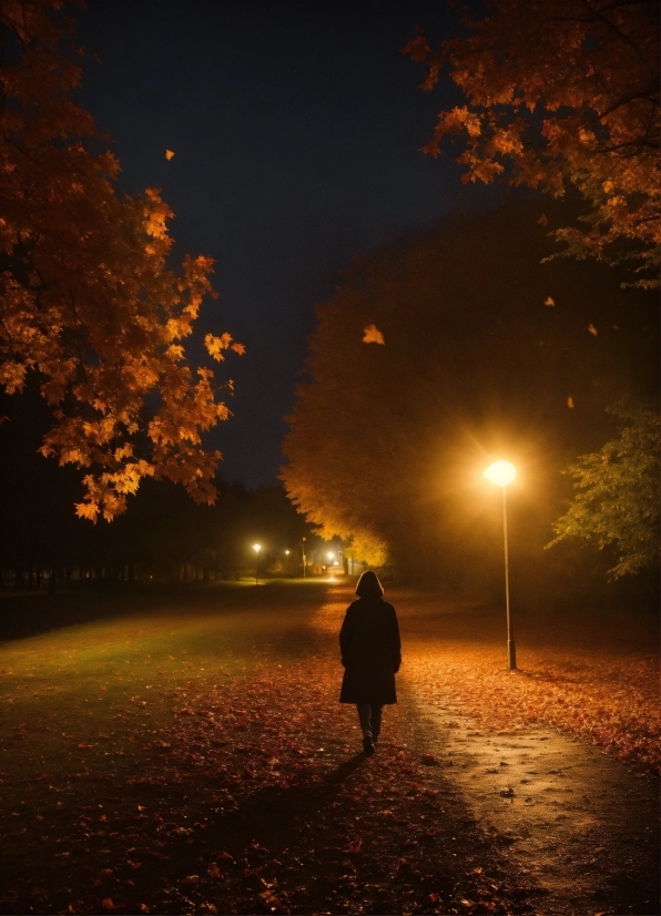 Google Imagen Ai, Atmosphere, Amber, Plant, Nature, Leaf