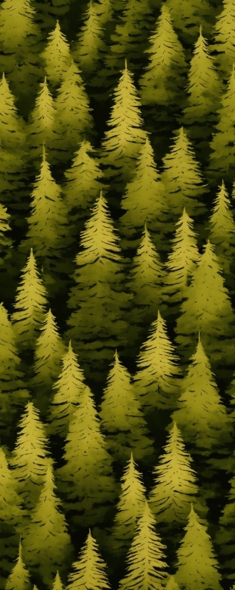 Graphic Design Stock Video, Plant, Leaf, Terrestrial Plant, Larch, Tree