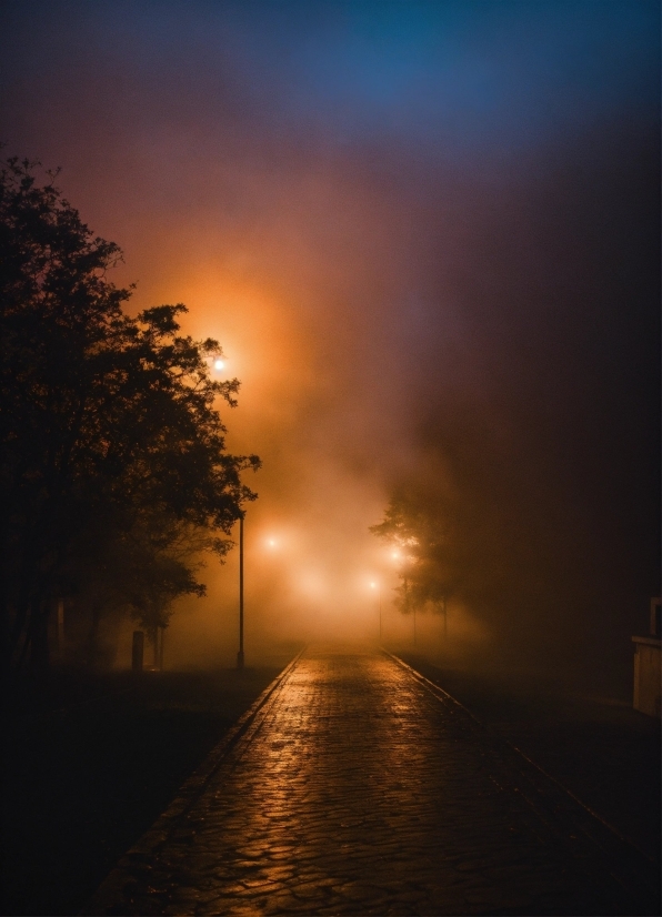 Jungle Stock Footage, Atmosphere, Sky, Street Light, Road Surface, Plant