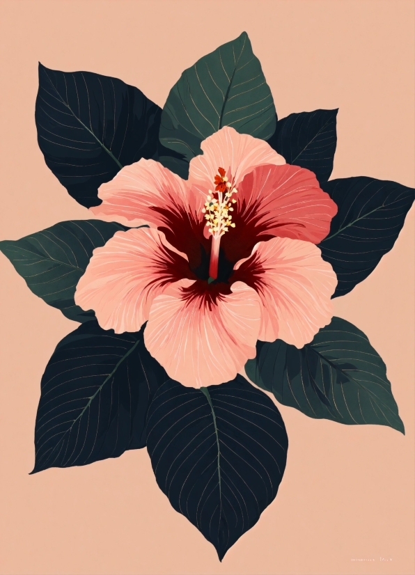 Most Popular Stock Photos, Flower, Plant, Petal, Hawaiian Hibiscus, Botany