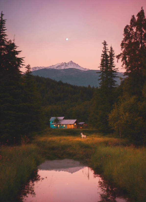 Music Green Screen Video Download, Sky, Plant, Water, Mountain, Ecoregion