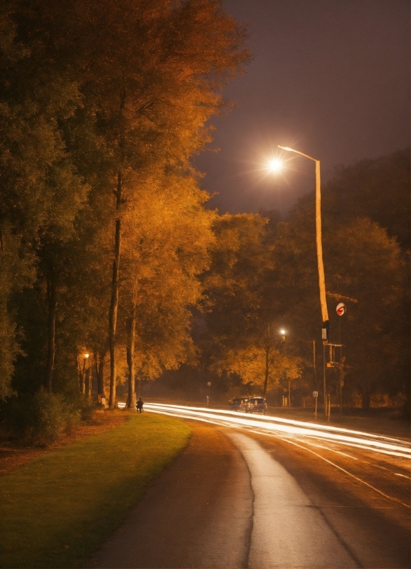 No Copyright Youtube Background, Atmosphere, Sky, Street Light, Light, Leaf