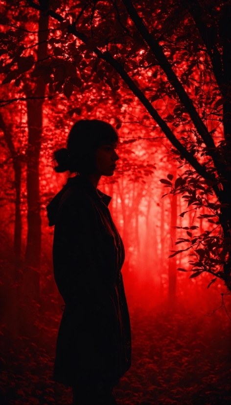 People In Nature, Plant, Branch, Flash Photography, Orange, Tree