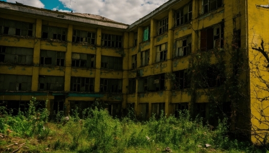 Plant, Property, Window, Building, Cloud, Fixture