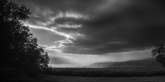 Room Background Video Free Download, Cloud, Sky, Atmosphere, Natural Landscape, Tree