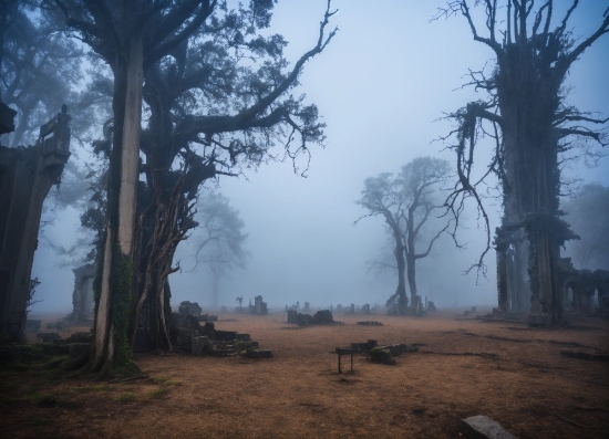 Royalty Free 360 Video, Sky, Plant, Atmosphere, Cloud, Natural Landscape