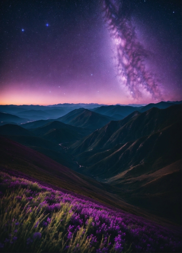 Sky, Atmosphere, Plant, Purple, Nature, Natural Environment