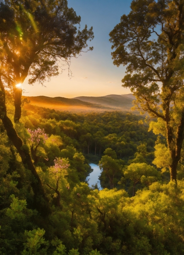 Sky, Water, Plant Community, Ecoregion, Plant, Natural Landscape