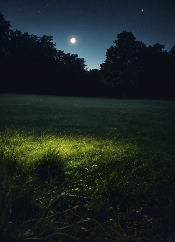 Sound Waves Video Clip Free Download, Plant, Sky, Atmosphere, Cloud, Moon