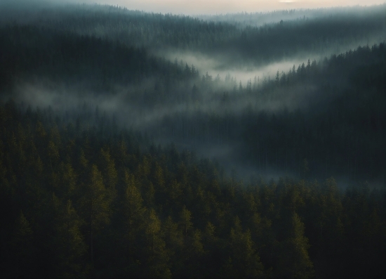 Splitshire Com, Cloud, Atmosphere, Mountain, Fog, Natural Landscape