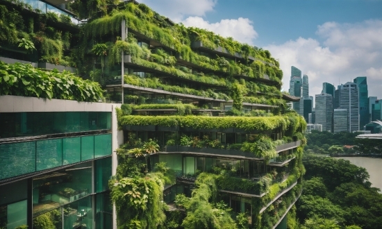 Starryai Ai, Cloud, Sky, Building, Plant, Natural Landscape