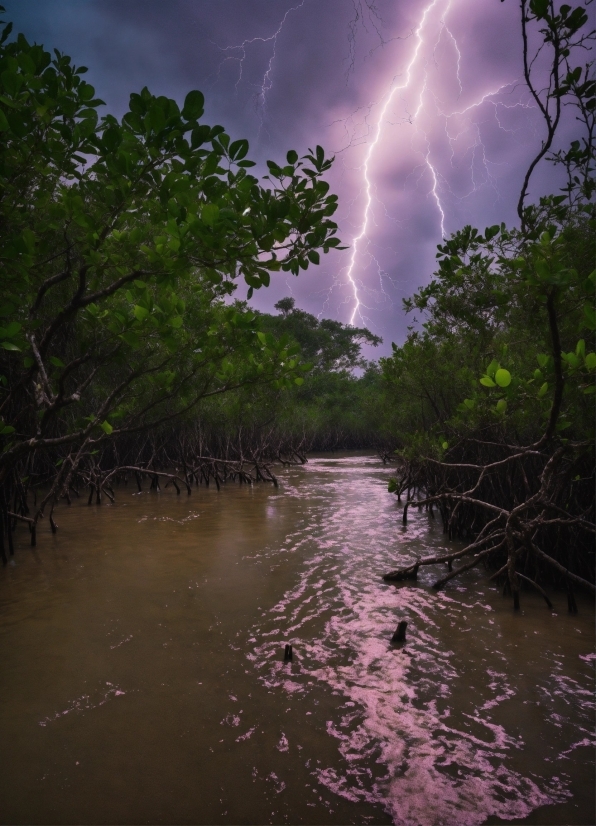 Template For Video Background, Sky, Lightning, Water, Cloud, Atmosphere