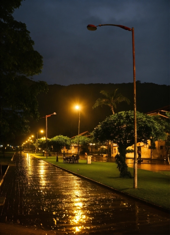 Video Download Video, Water, Sky, Street Light, Road Surface, Infrastructure