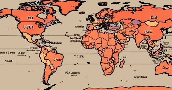 Background For Videos, World, Ecoregion, Map, Vertebrate, Organ