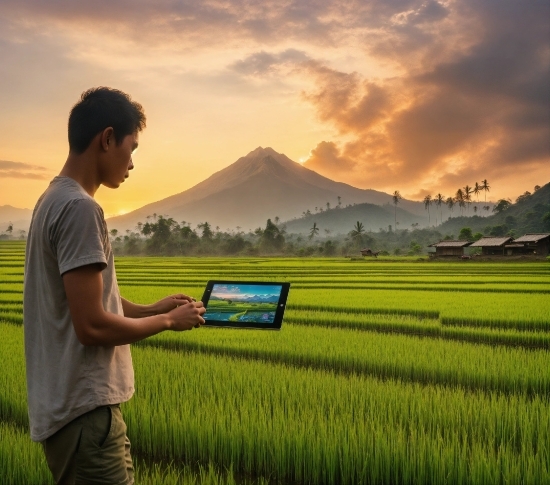 Cloud, Sky, Plant, Ecoregion, People In Nature, Nature