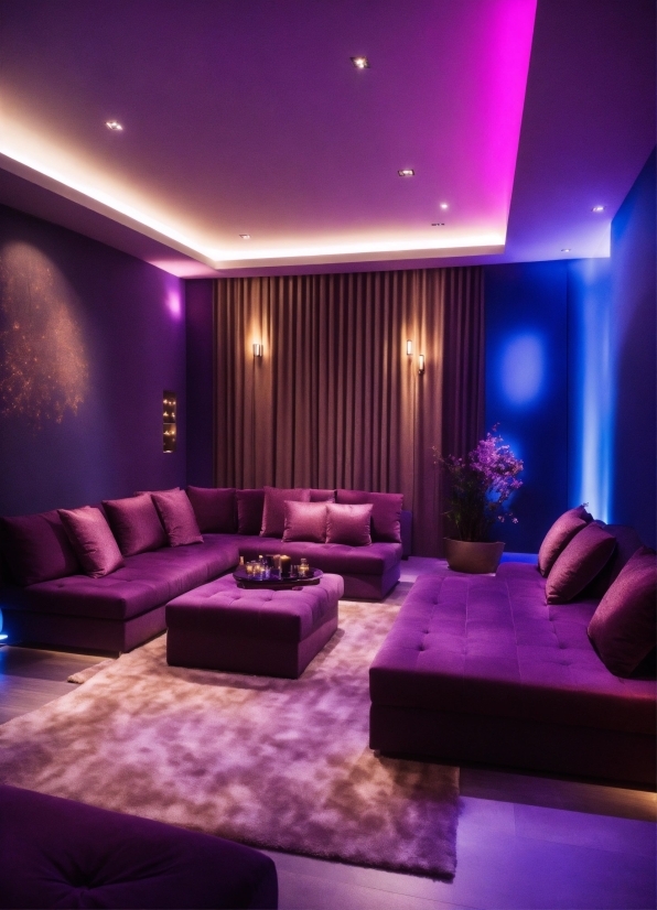 Digital Video Collection, Furniture, Couch, Decoration, Purple, Comfort