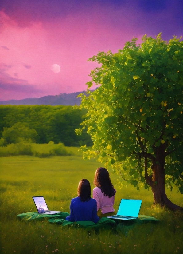 Edit Stock Video, Sky, Laptop, Daytime, Cloud, Plant