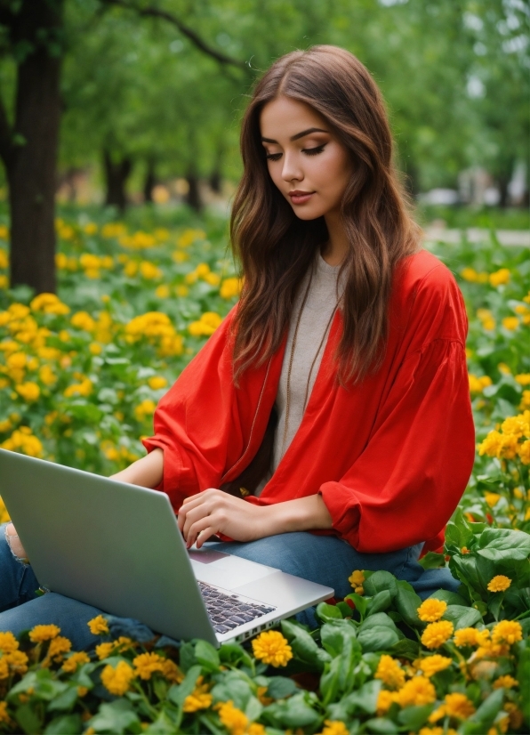 Flower, Plant, People In Nature, Botany, Orange, Tree