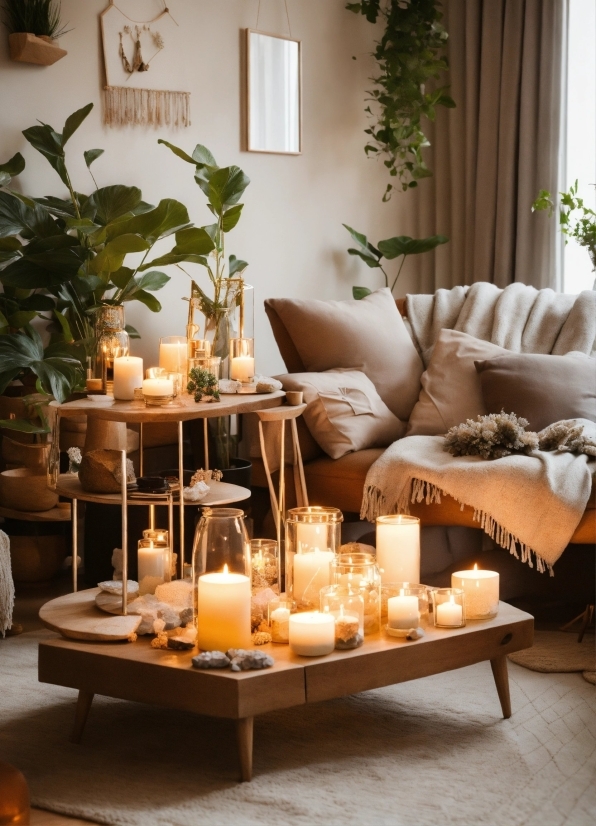 Footage Firm, Plant, Property, Table, Couch, Candle