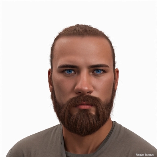 Free Animations For Videos, Forehead, Brown, Cheek, Beard, Eyelash