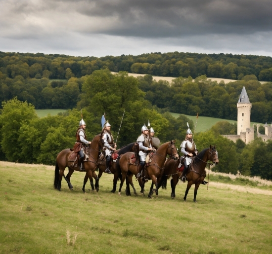 Free Footage Video No Copyright, Horse, Cloud, Sky, Horse Tack, Tree