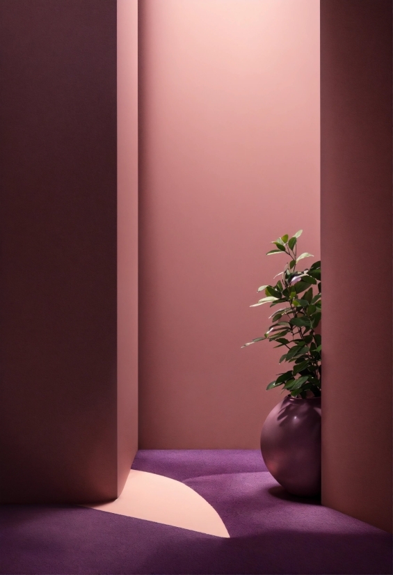 Free Hd Video Background Loops, Plant, Purple, Textile, Wood, Pink