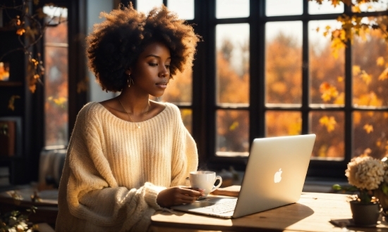 Free Sky Stock Footage, Computer, Laptop, Personal Computer, Table, Netbook