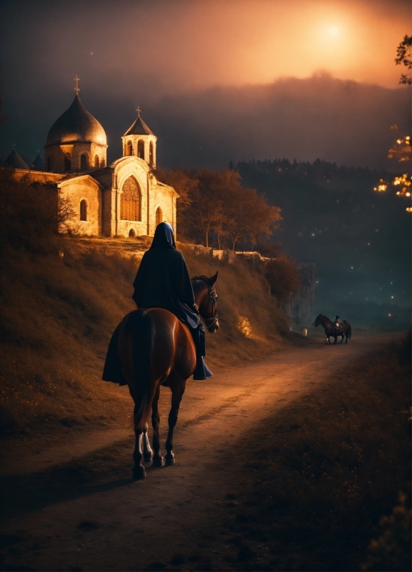 Gym Stock Footage, Horse, Cloud, Sky, Atmosphere, Light