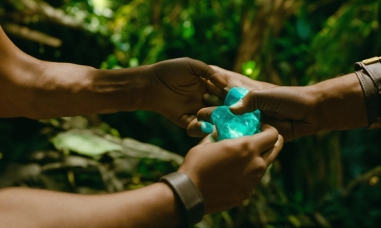 Hand, Gesture, Thumb, Finger, Plant, Nail