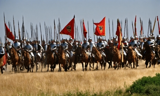 Military Stock Footage, Horse, Sky, Vertebrate, Flag, Military Person