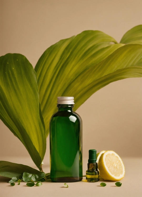 No Copyright Clip Video, Liquid, Bottle, Green, Rangpur, Leaf