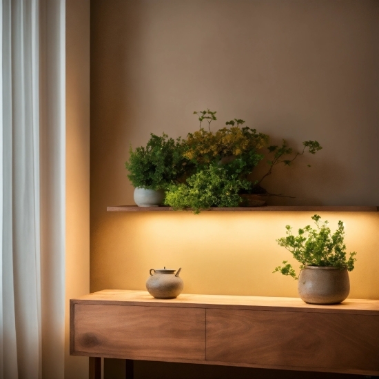 Plant, Flowerpot, Houseplant, Table, Wood, Interior Design