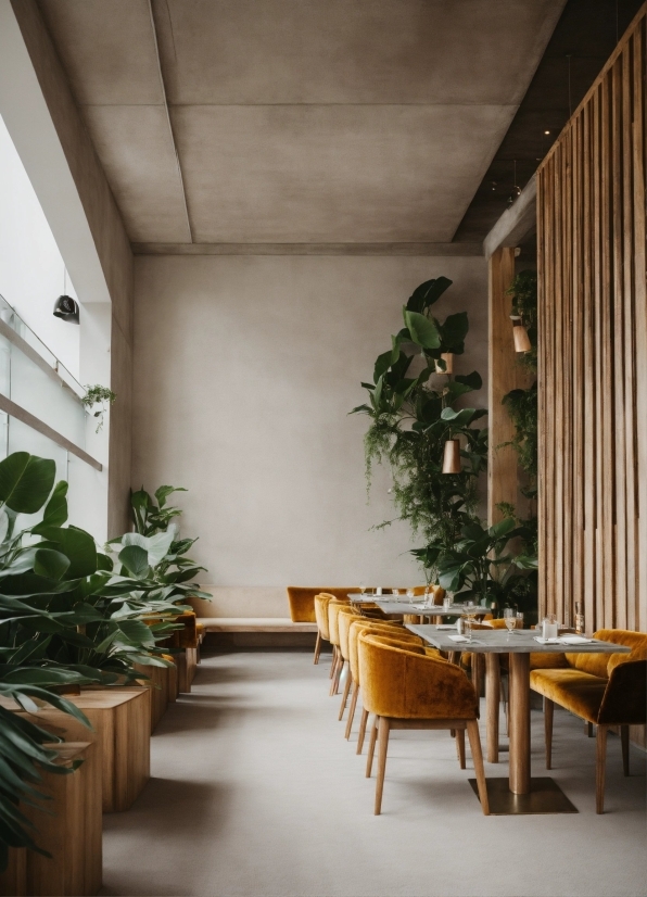 Plant, Furniture, Table, Building, Wood, Interior Design