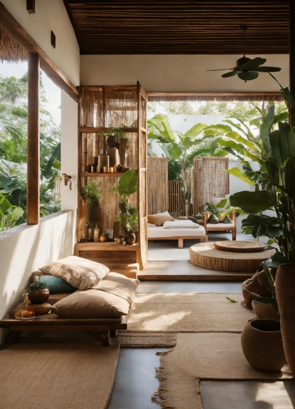 Plant, Property, Wood, Houseplant, Comfort, Lighting