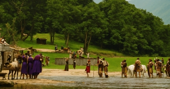 Plant, Water, Tree, Natural Landscape, Working Animal, People In Nature