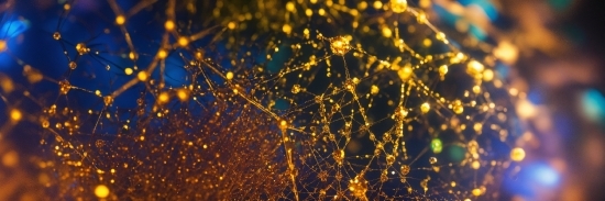 Stock Footage Woman, Water, Sky, Gold, Twig, Astronomical Object