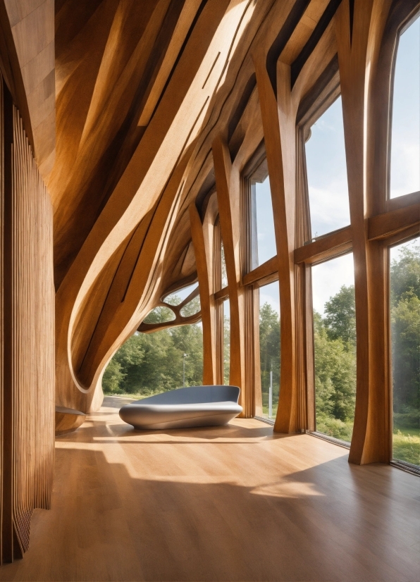 Stock Shot Video, Plant, Wood, Sky, Tree, Window