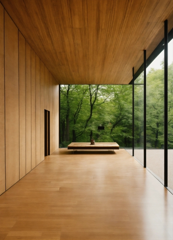 Wood, Hall, Interior Design, Plant, Shade, Wood Stain