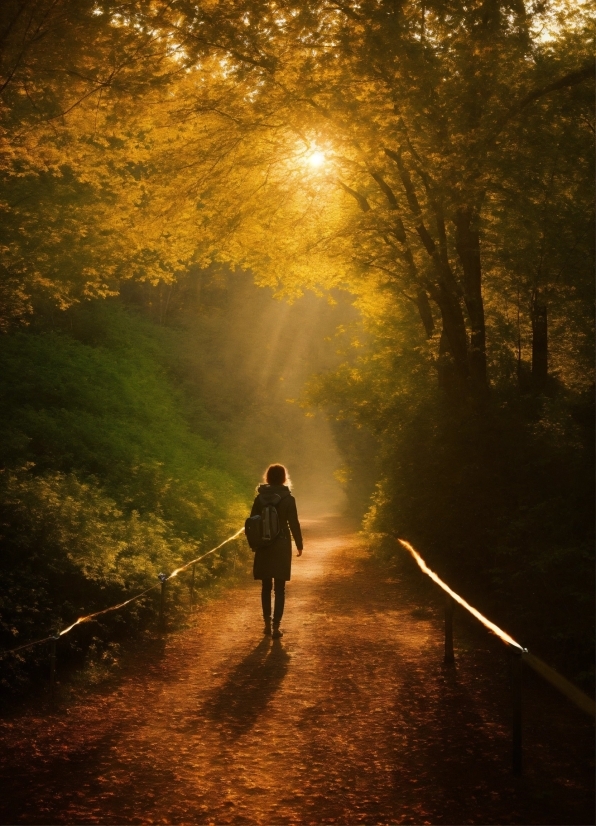 Atmosphere, Plant, People In Nature, Leaf, Branch, Wood