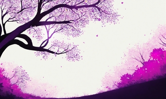 Canva Graphics, Atmosphere, Purple, Sky, Branch, Violet