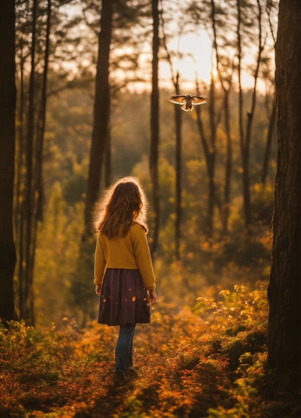 Channel Logo, Plant, Hairstyle, Atmosphere, People In Nature, Wood