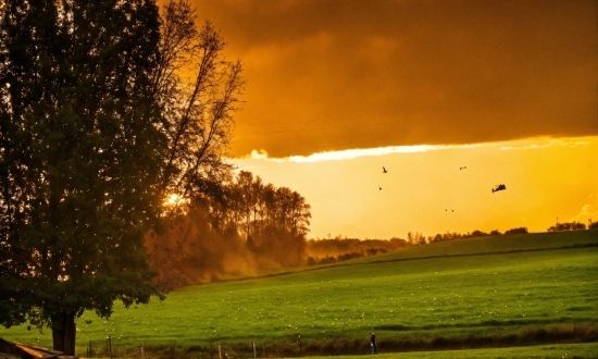 Cloud, Plant, Sky, Atmosphere, Ecoregion, Afterglow