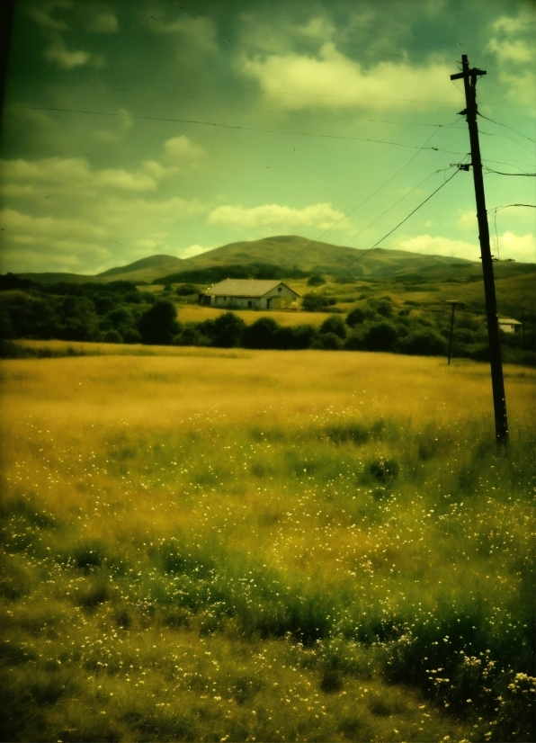 Cloud, Sky, Atmosphere, Plant, Ecoregion, Natural Landscape