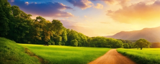 Cloud, Sky, Green, Plant, Natural Landscape, Land Lot