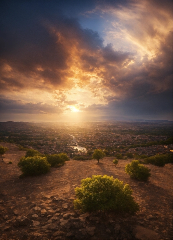 Coohom, Cloud, Sky, Plant, Atmosphere, Ecoregion