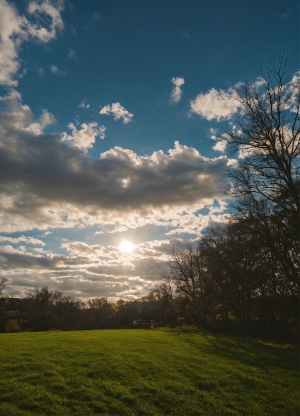 Creative Art, Cloud, Sky, Plant, Atmosphere, Daytime