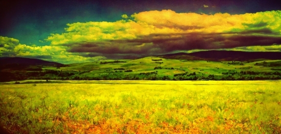 David Hockney, Cloud, Sky, Plant, Natural Landscape, People In Nature